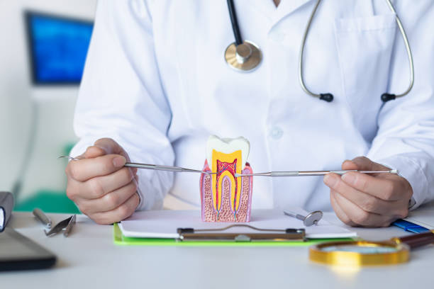 Best Emergency Wisdom Tooth Extraction in Palm Shores, FL